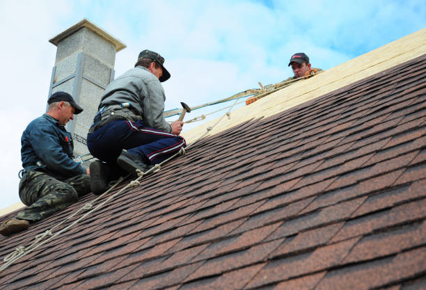 Best Commercial Roofing Services  in Glencoe, MN