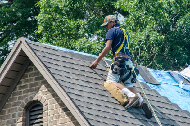 Best Flat Roof Repair Services  in Glencoe, MN
